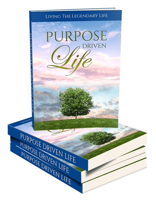 Product picture Purpose Driven Life