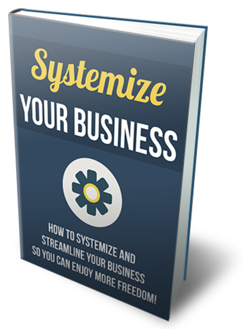 Product picture Systemize Your Business