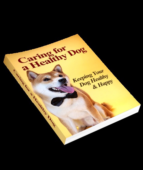 Product picture Dog Train Essentials