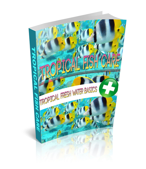 Product picture Tropical Fish Care